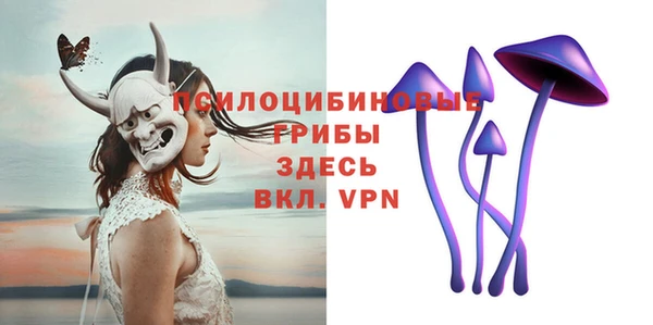 spice Алексеевка